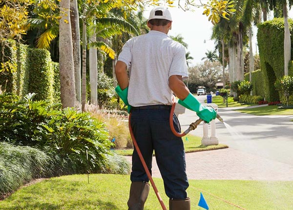About Wheelersburg OH Pest Control
